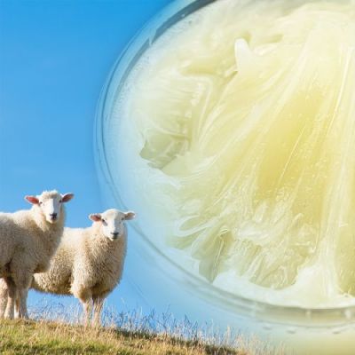 Ultra Pure Lanolin 